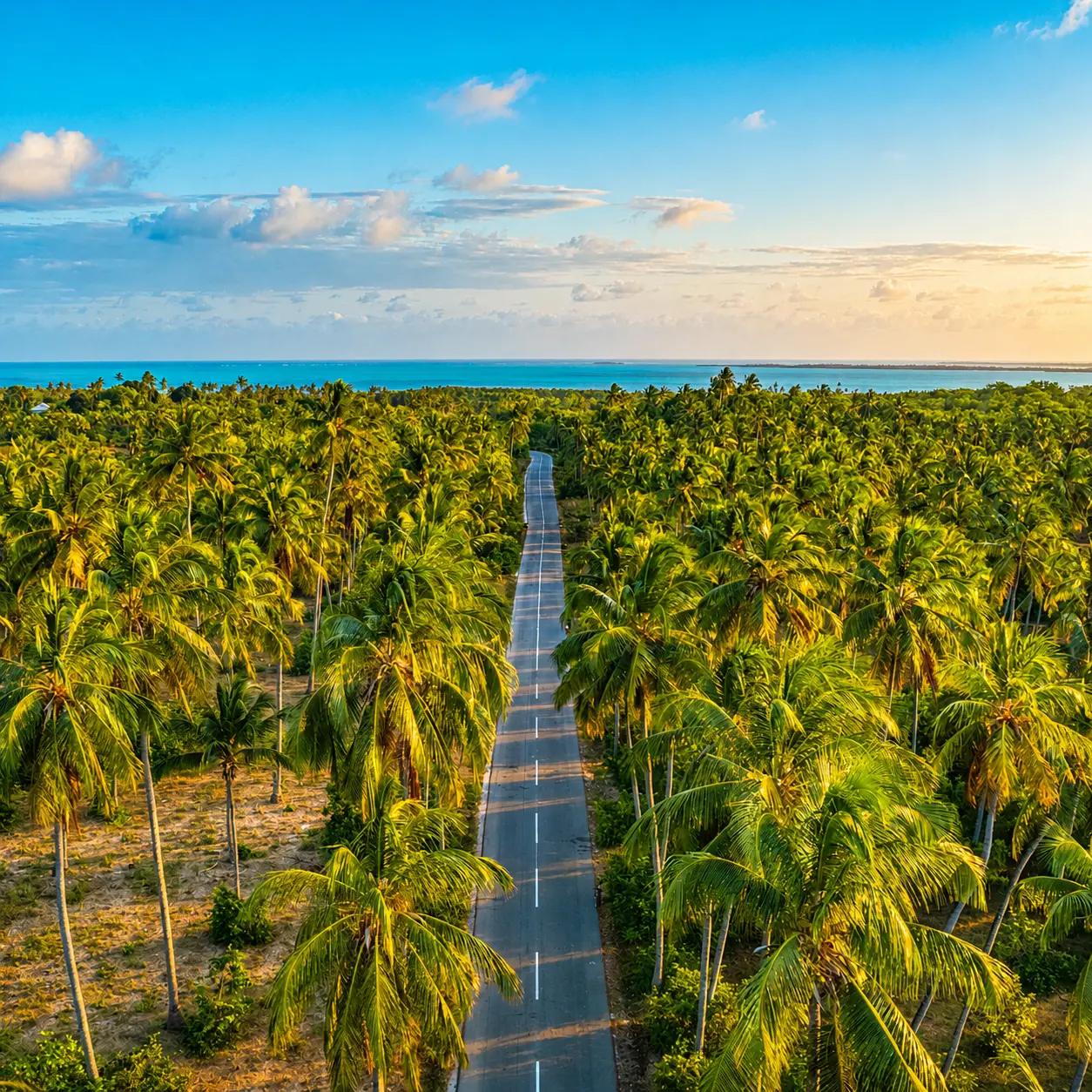 Best Time To Visit Tanzania
