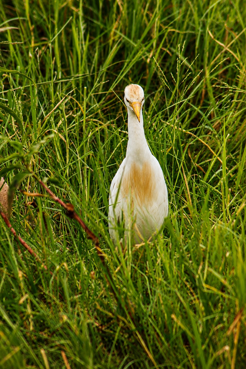Arusha National Park